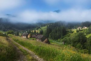 Что такое плай
