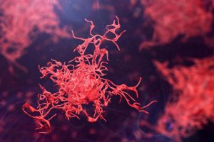 амеба у водоймах: Naegleria fowleri