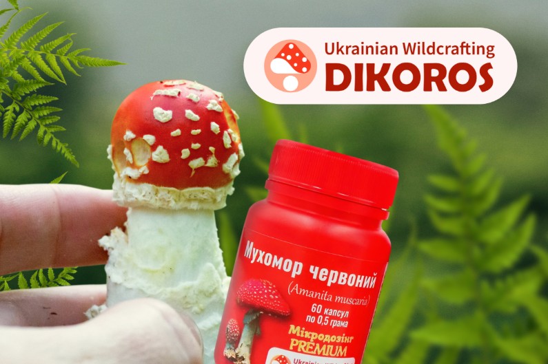 червоний мухомор